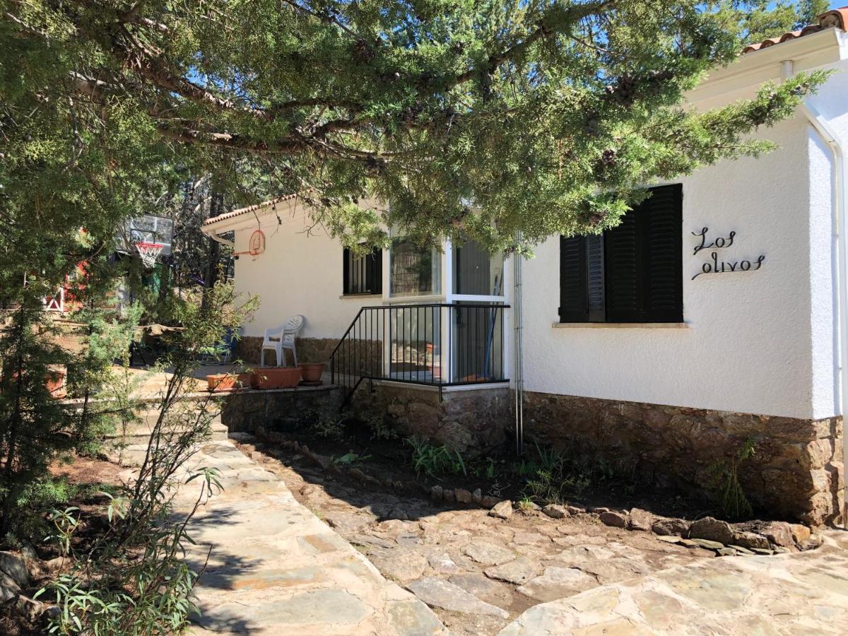 Casa Rural Los Olivos De Robledo De Chavela Ла-Эстасьон Экстерьер фото