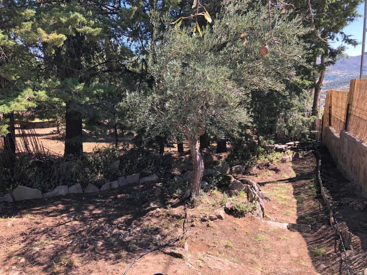 Casa Rural Los Olivos De Robledo De Chavela Ла-Эстасьон Экстерьер фото